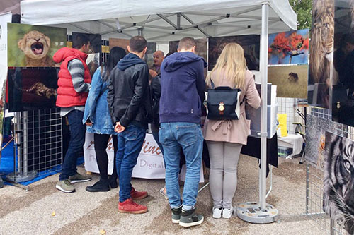 young people looking at Ashley Vincent’s wildlife prints on display at an outdoor event