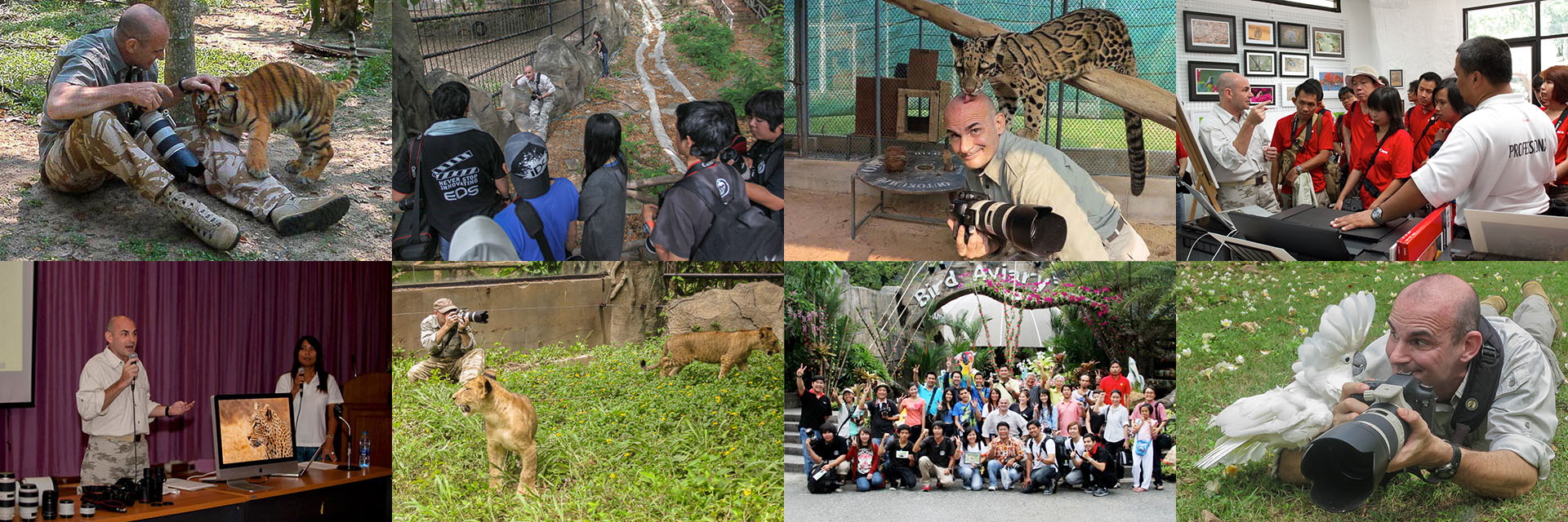montage of wildlife photographer Ashley Vincent at work