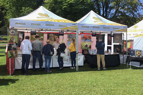 customers engaging with Ashley Vincent at his picture display gazebo at the Thai Festival in Brighton