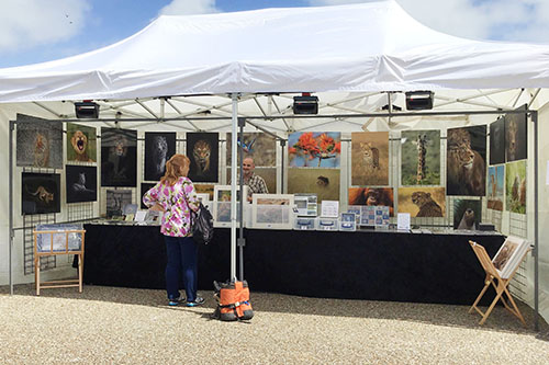 customer engaging with Ashley Vincent at his picture display gazebo at the early July Eastbourne event