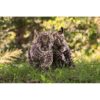 two wide-eyed jaguar cubs walking on grass toward photographer ashley vincent