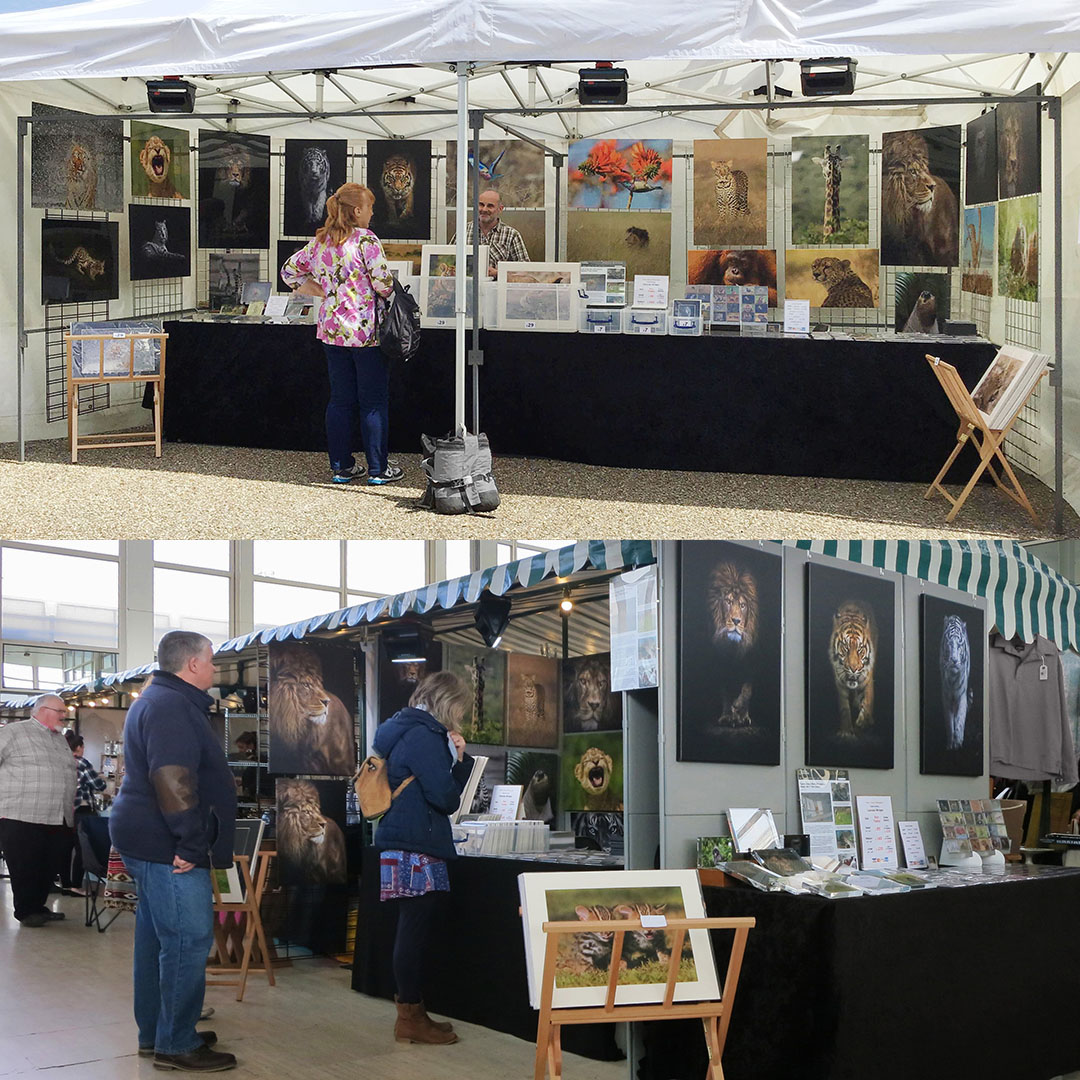 composite picture showing a couple of events from last year