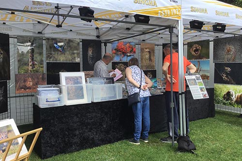 ashley vincent engaging with customers at the Norwich Thai Festival