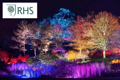 HRS Hyde Hall Christmas Lights