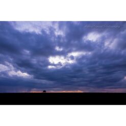 animalscape of a seemingly very small elephant walking across the horizon and silhouetted against a colourful and cloud-filled Kenyan sky at sunset