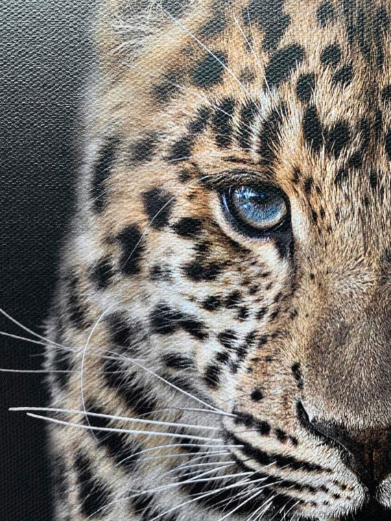 example showing high quality of our canvas